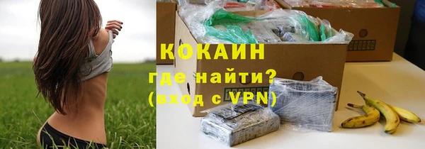 соль ск Надым