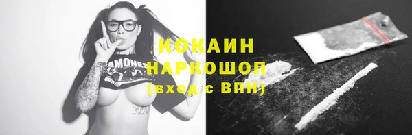 шишки Наволоки