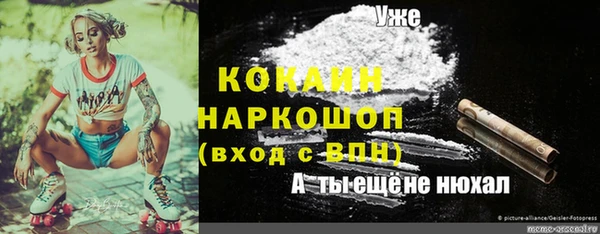соль ск Надым