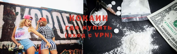 шишки Наволоки